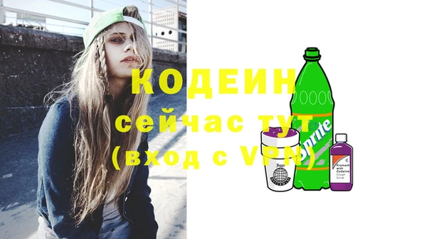 не бодяженный Весьегонск