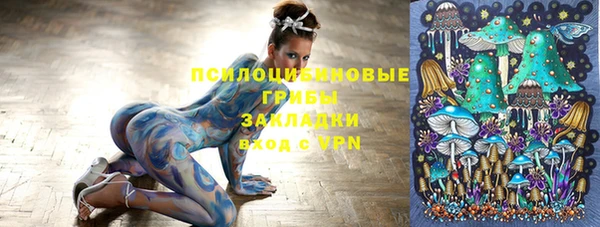 MDMA Premium VHQ Нязепетровск