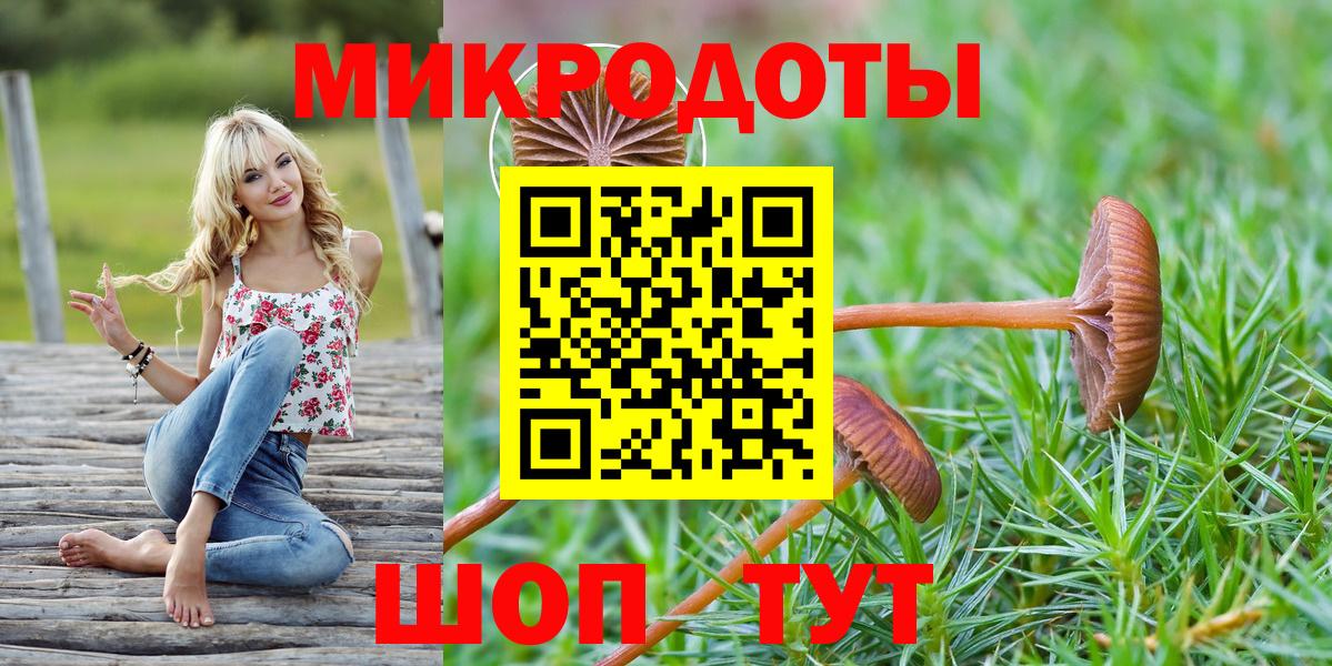 Галлюциногенные грибы Psilocybe  Удомля 