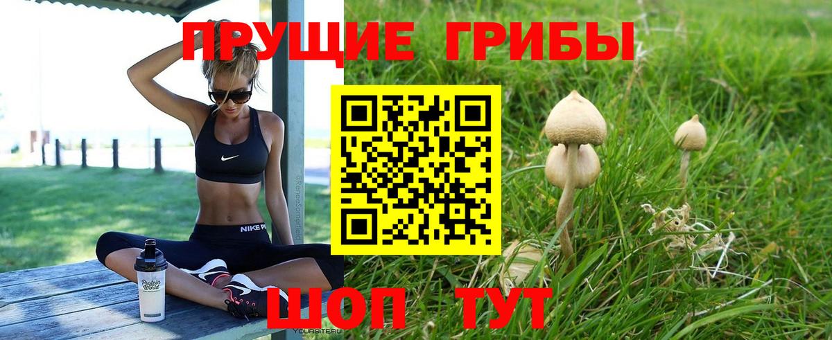 Галлюциногенные грибы GOLDEN TEACHER Удомля