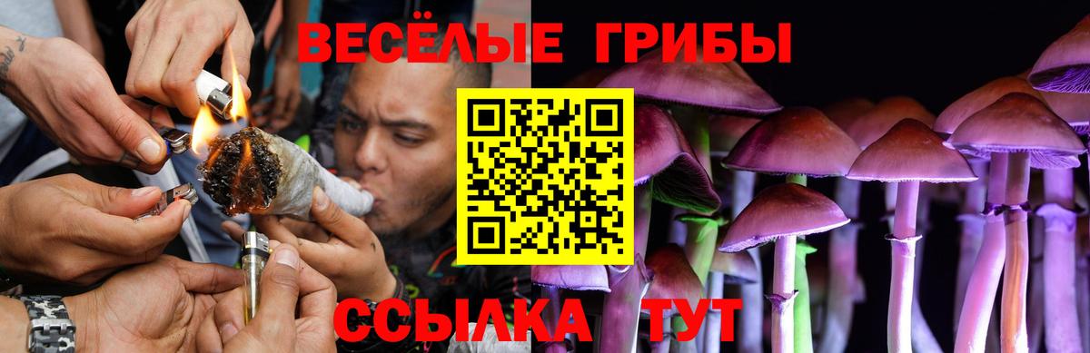 Галлюциногенные грибы Psilocybe  Вход с VPN  Удомля 