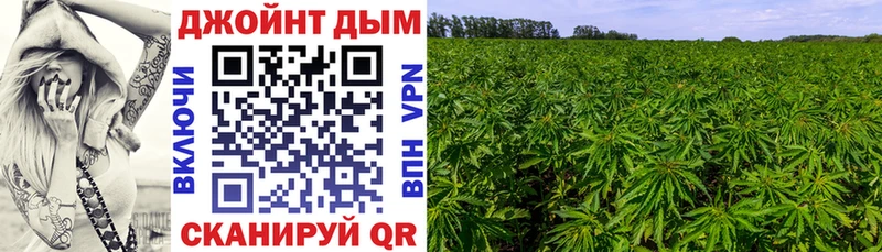 Шишки марихуана SATIVA & INDICA  Удомля 
