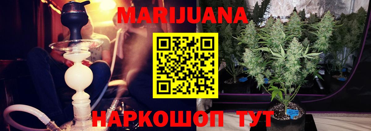 Каннабис план Удомля